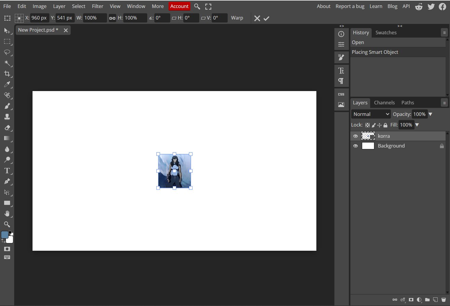 Image imported to Photopea